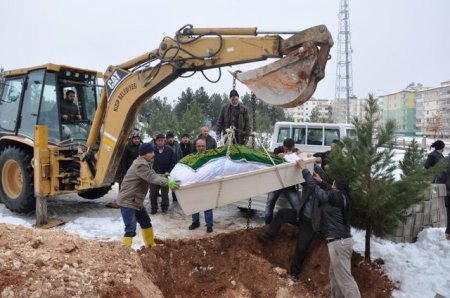 300 kiloluq ölünü traktorla basdırdılar