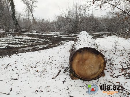 Muxtar Babayev rəsmən bu DÖVLƏTİN QƏSDİNƏ DURUB