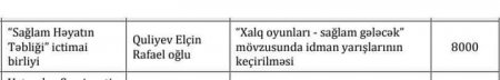 Aygün Əliyeva QHT sektorunu özəl kantoruna çevirib...