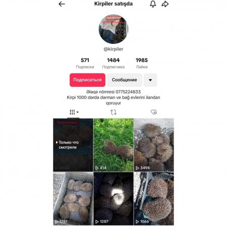 Meşə heyvanlarının SAHİBİ DÖVLƏT DEYİLMİ? Meşə heyvanlarının SAHİBİ DÖVLƏT DEYİLMİ?