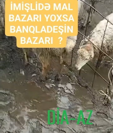 İmişlidə MAL BAZARI: BU NƏ HALDIR?.. İmişlidə MAL BAZARI: BU NƏ HALDIR?..