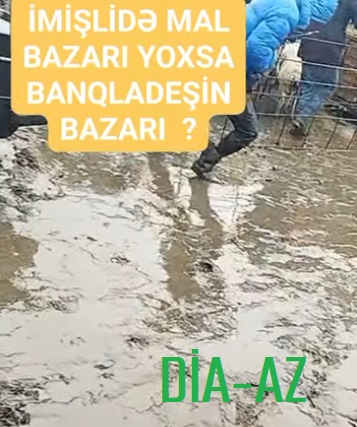 İmişlidə MAL BAZARI: BU NƏ HALDIR?.. İmişlidə MAL BAZARI: BU NƏ HALDIR?..