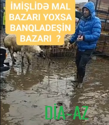 İmişlidə MAL BAZARI: BU NƏ HALDIR?.. İmişlidə MAL BAZARI: BU NƏ HALDIR?..
