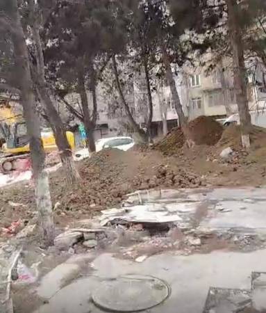 Bakıda yaşıllığa VƏHŞİ MÜNASİBƏTİ... Bakıda yaşıllığa VƏHŞİ MÜNASİBƏTİ...