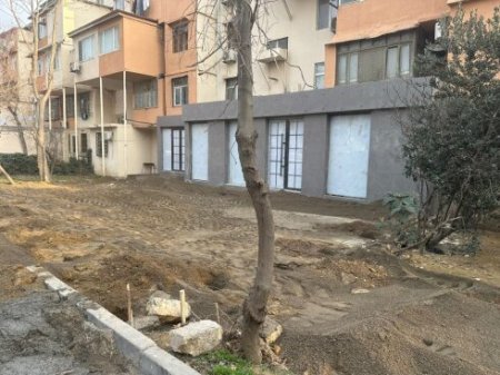 Qanunlar Həbibullayevin UMRUNDA DEYİL... Qanunlar Həbibullayevin UMRUNDA DEYİL...