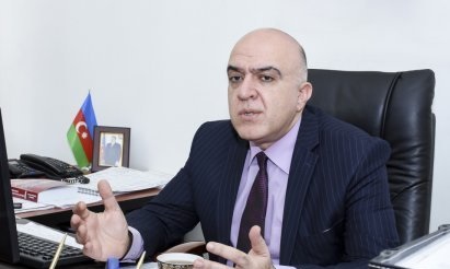 Zaqatalada qanunsuz ağac budaması: Akif Məmmədov saxta rəy verib Zaqatalada qanunsuz ağac budaması: Akif Məmmədov saxta rəy verib
